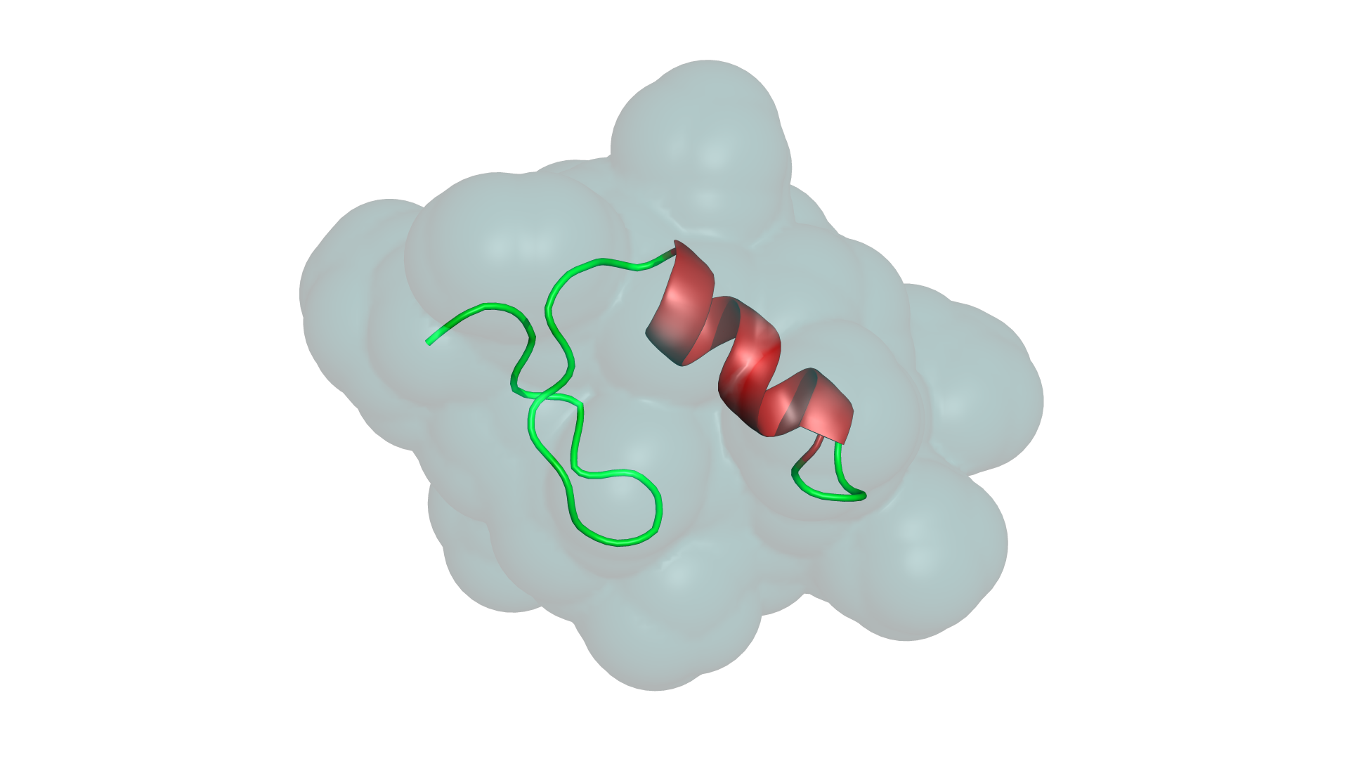 1FSD protein in surface representation